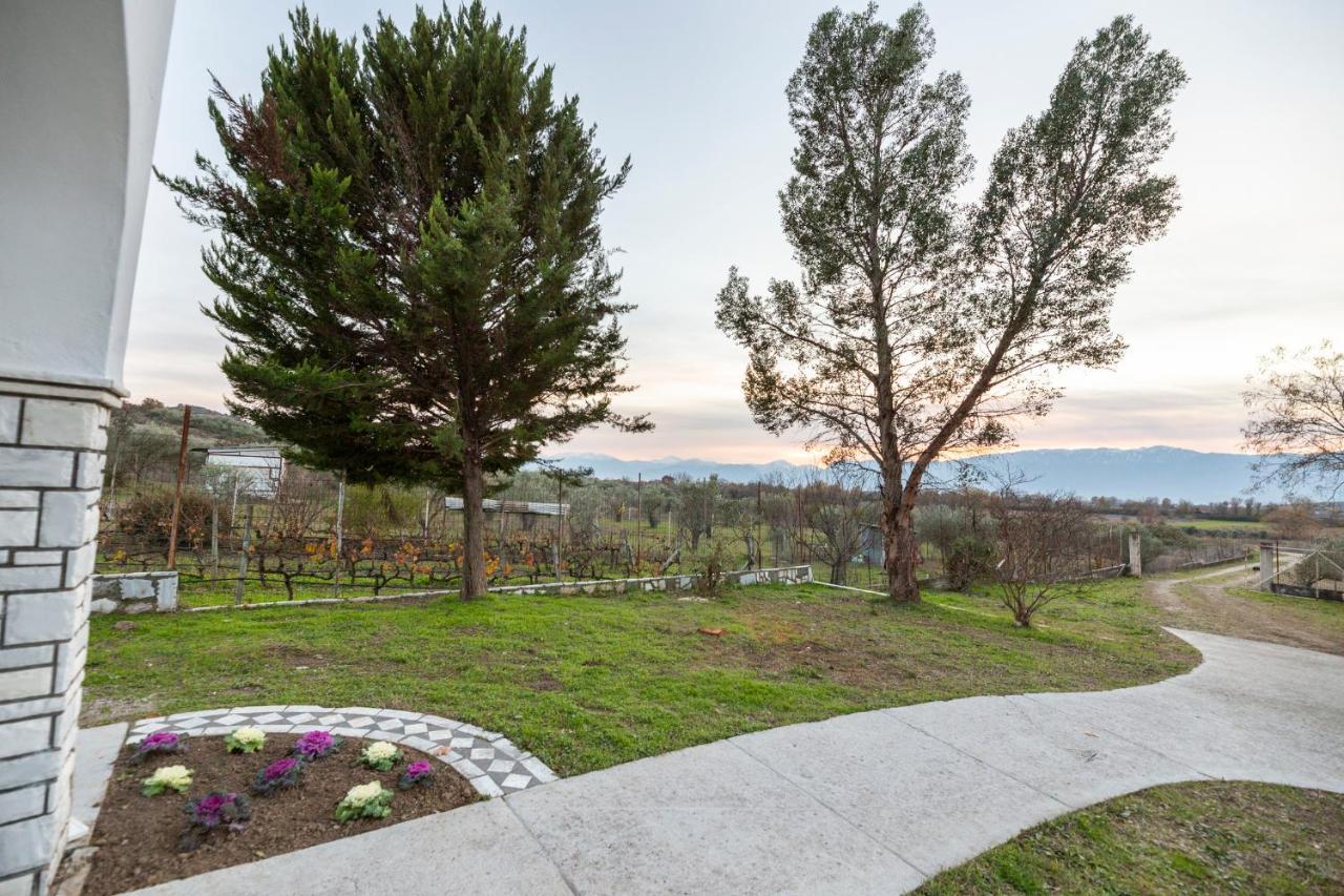 Τrικαλα - Μετεorα-Villa Toscana Трикала Екстер'єр фото